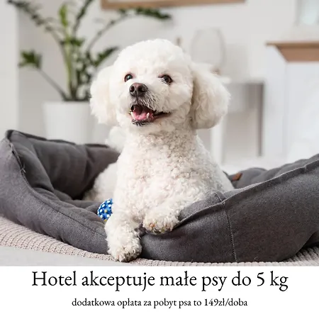 Tiffi Boutique Hotel-2